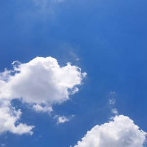 原谅我成为不了伟大的人（翻自 廖俊涛）