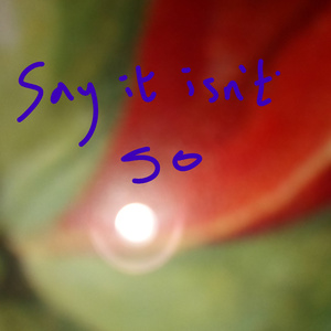 say it isn't so