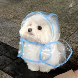 when i heard this song on wednesday (Sped Up)