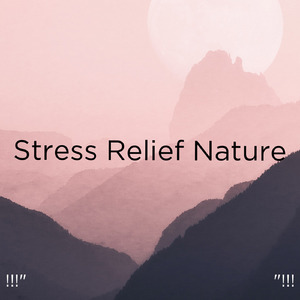 수면을위한 바다의 소리