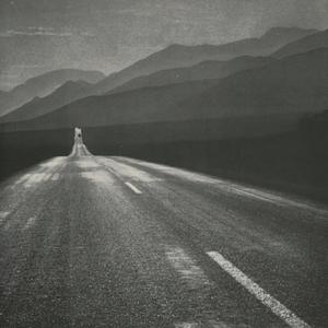 Rolling (feat. Brxndo2xs) (remix) (remix)