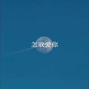 怎敢爱你