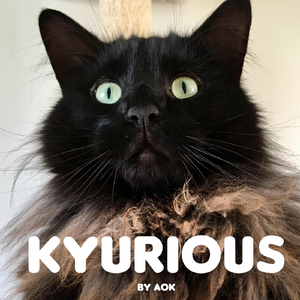 Kyurious