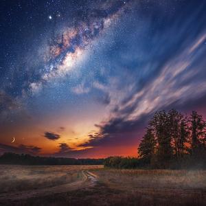 让人放松的鸟鸣和雨声