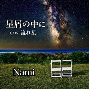星屑の中に