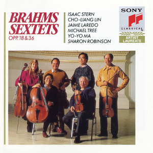 String Sextet No. 1 in B-Flat Major, Op. 18:I. Allegro ma non troppo