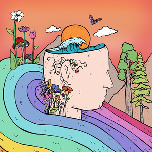 100 pájaros volando