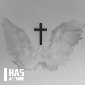 夜泡时光的搞笑飞溅