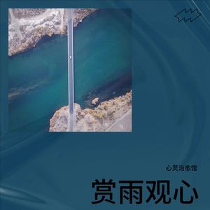赏雨观心