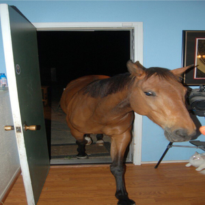 The View From Halfway Down