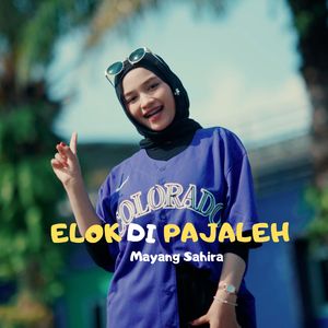 Elok Di Pajaleh