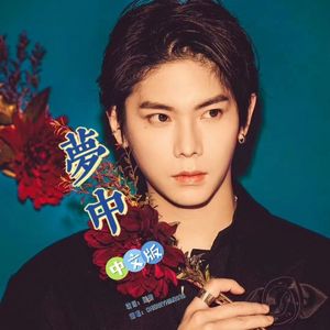 夢中 Crazy About（中文版）