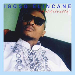 Inkomo Zikababa (Acoustic)