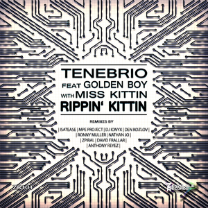 Rippin' Kittin (David Frallar Remezcla)