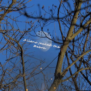 Aliens Jacked the Zebra