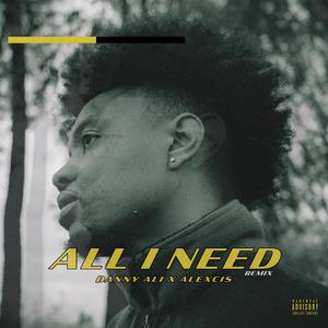 all i need (feat. Alexcis) (Remix)