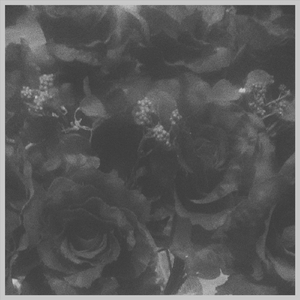 What's the Worth of Living?