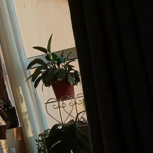 七月上（翻自 刘旭阳）