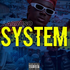 System