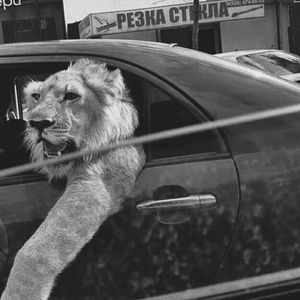 【Free】Drill Type Beat "Tribe"