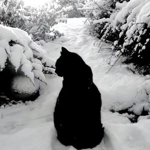 【FREE】“呻吟” （Melody beat）