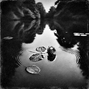 Black & White Dissonance