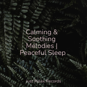 Melodic Rapids Flowing Free