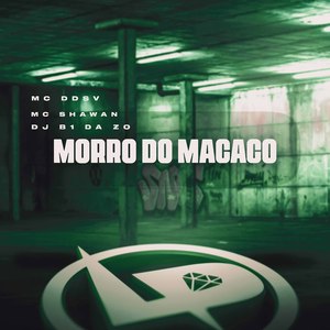 Morro do Macaco