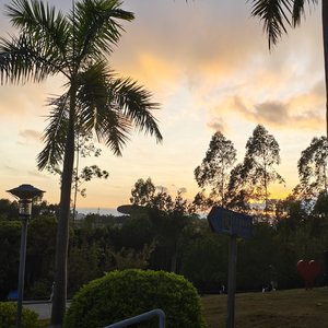 苦尽甘来全是为了过年