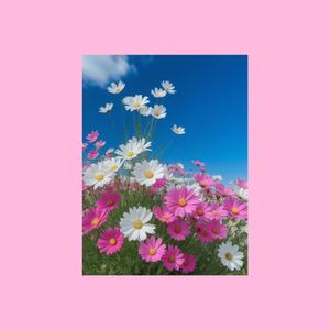 繁花盛世的寻觅