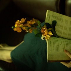 小猫阿也《苦咖啡旋律 (DJ版)》