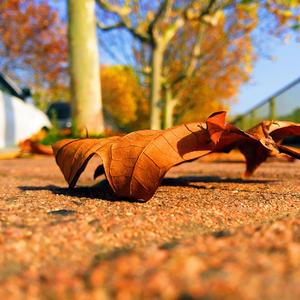 时光笔墨（纯音乐）