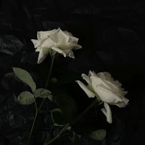 特别的人(女声版)