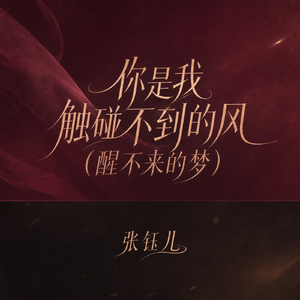 你是我触碰不到的风(醒不来的梦)