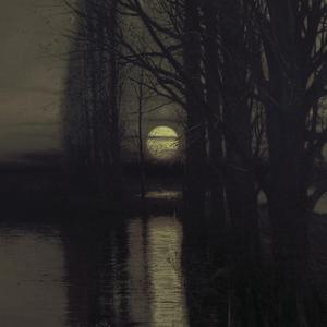 Extinguishing The Light