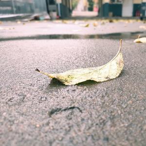 一千个失聪听众（Cover 柳爽）