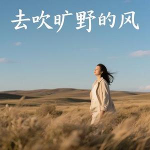 去吹旷野的风 (阿默 Remix)