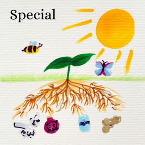 Special