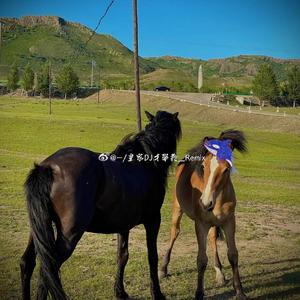 我以收起锋芒.才学义