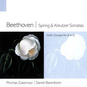 Violin Sonata No. 5 in F Major, Op. 24 "Spring":I. Allegro