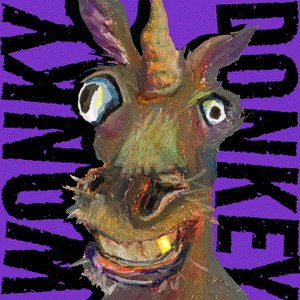 WONKY DONKEY