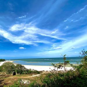 入海