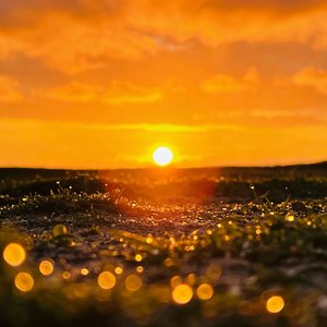 激励(Prodby.FakeBlood)