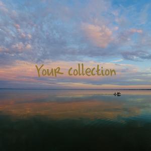 你是我所有（翻自 摩登兄弟刘宇宁）