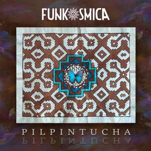 Pilpintucha