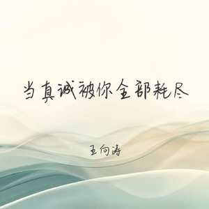 当真诚被你全部耗尽