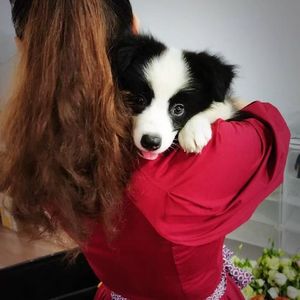 平畴远树古韵幽