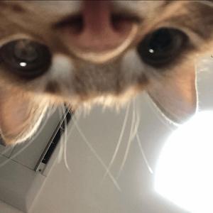 sit thru the pain (feat. owtiss)