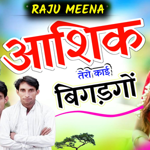 आशिक तेरो काई बिगड़गों