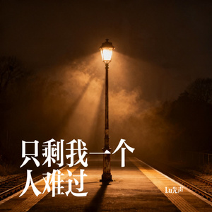 只剩我一个人难过